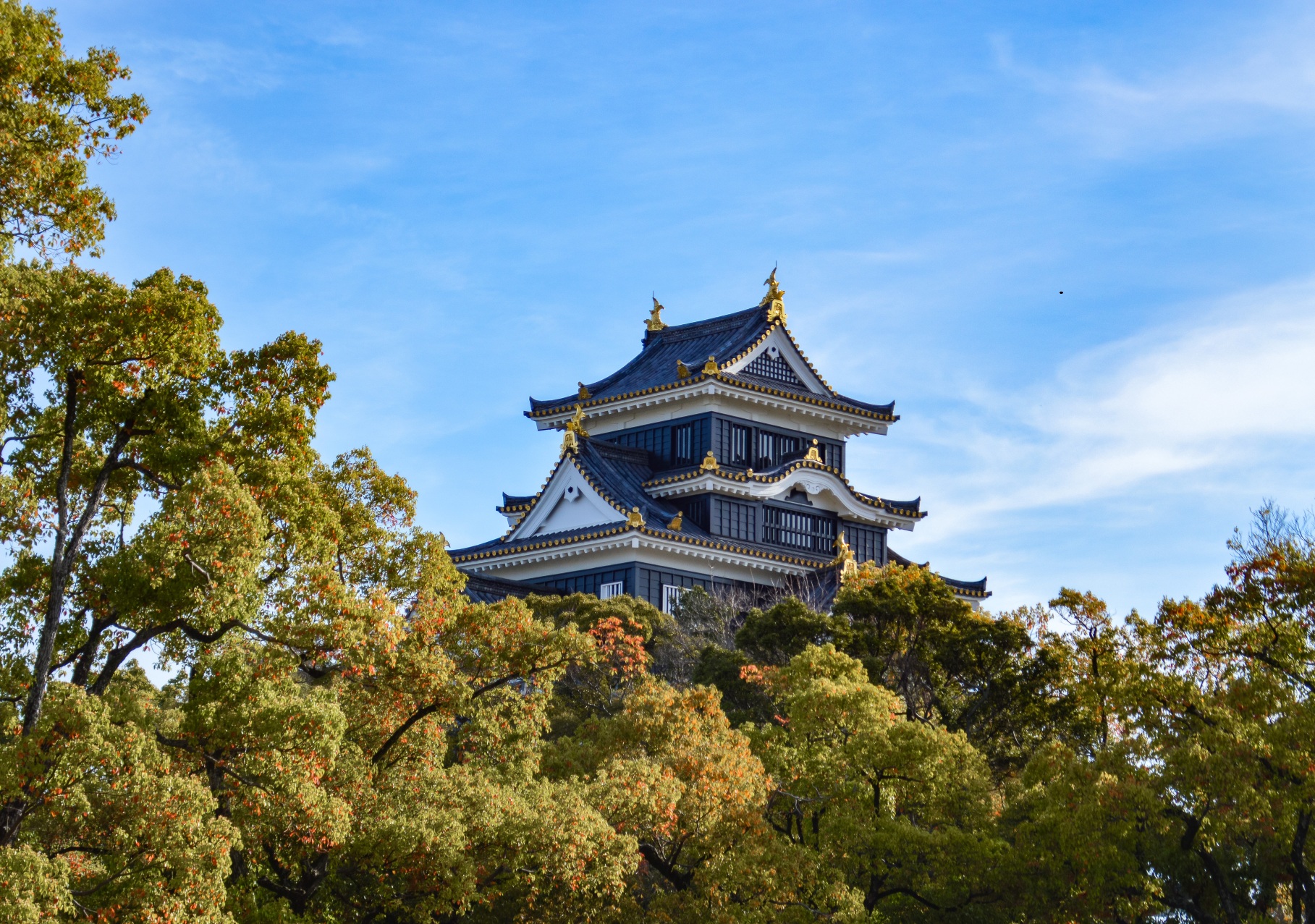 岡山エリア
