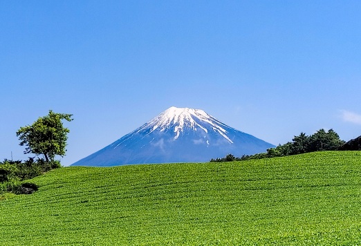 静岡エリア